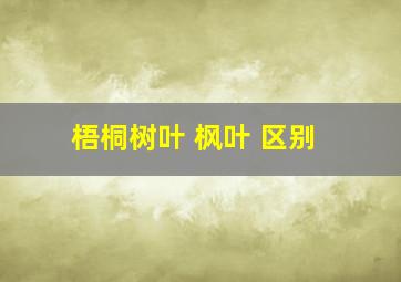 梧桐树叶 枫叶 区别